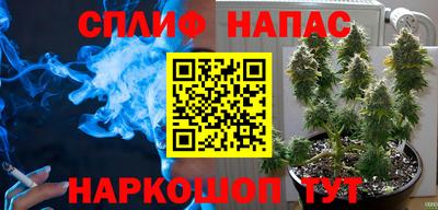 эйфоретик Туймазы