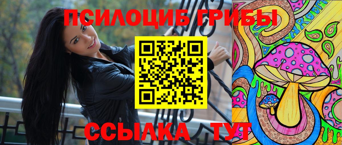 Алексин  Псилоцибиновые грибы Psilocybe  цена   Вход с VPN 